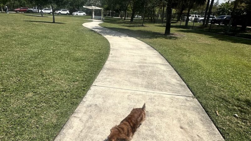 Pawgrass at Welleby Park - Sunrise, FL