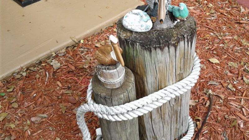 Welleby Palms Park - Sunrise, FL