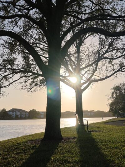 Welleby Park - Sunrise, FL