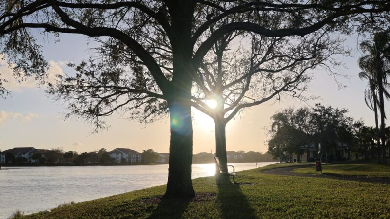 Welleby Park - Sunrise, FL