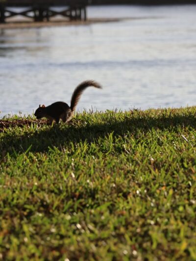 Welleby Park - Sunrise, FL