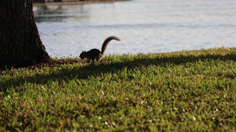 Welleby Park - Sunrise, FL