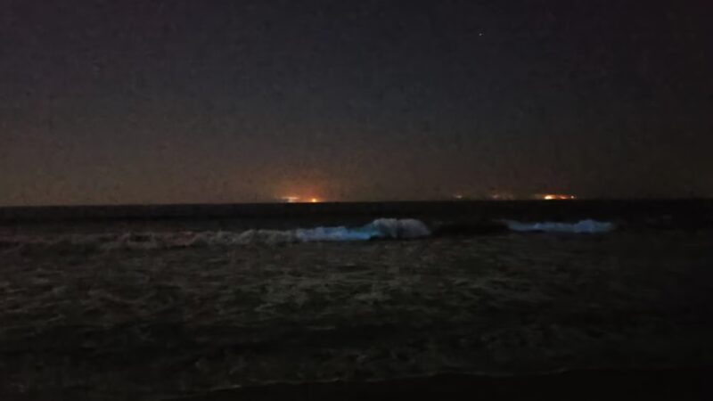 Sunset Beach - Sunset Beach, CA