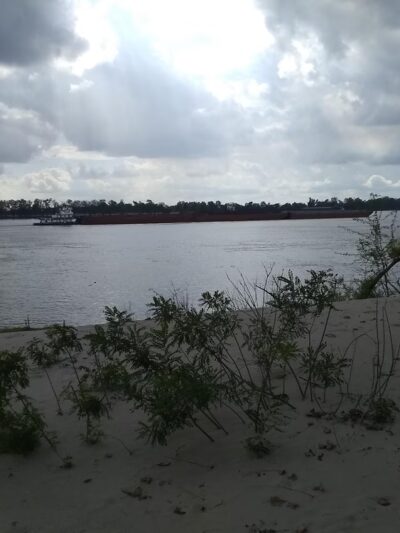 St. Gabriel Levee Trailhead - Sunshine, LA