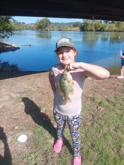 Surgoinsville River Front Park - Surgoinsville, TN