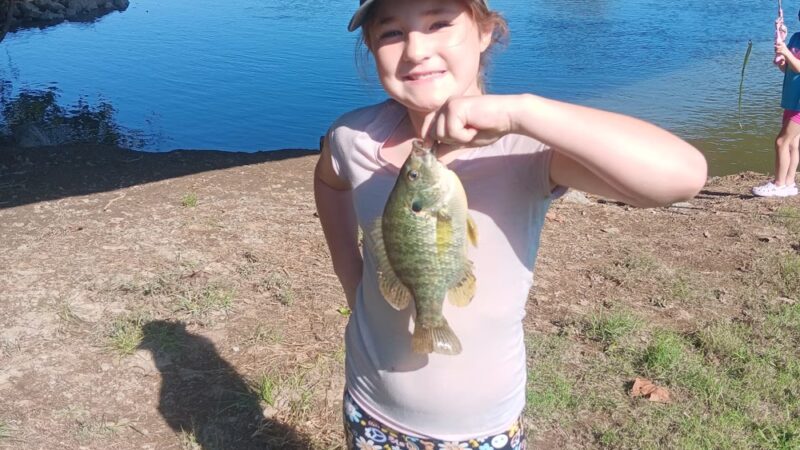 Surgoinsville River Front Park - Surgoinsville, TN