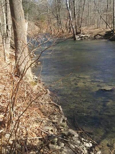 Luciana Park - Susquehanna, PA