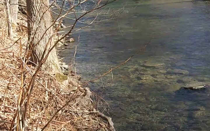 Luciana Park - Susquehanna, PA