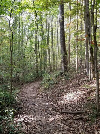 Settles Bridge Park - Suwanee, GA