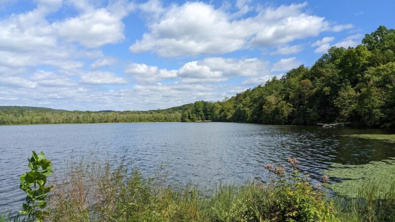 Swartswood State Park - Swartswood, NJ
