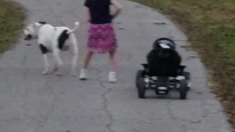 Backyard City Park - Sweeny, TX