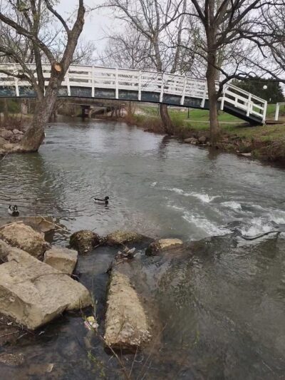 Duck Park - Sweetwater, TN