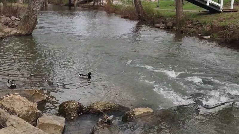 Duck Park - Sweetwater, TN