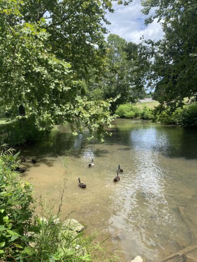 Duck Park - Sweetwater, TN