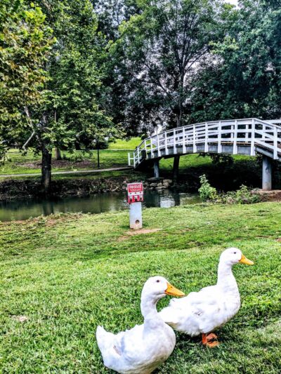 Duck Park - Sweetwater, TN