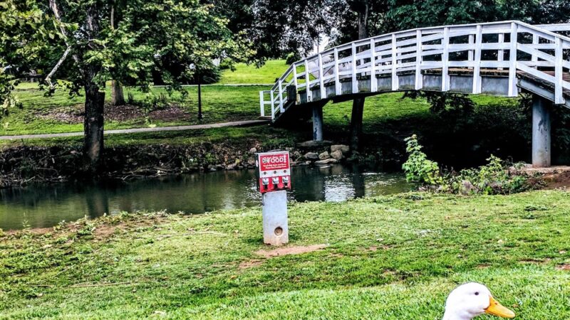 Duck Park - Sweetwater, TN