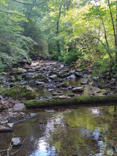 Old Parkersburg Turnpike - Swoope, VA