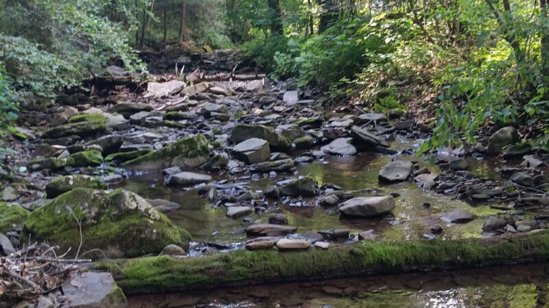 Old Parkersburg Turnpike - Swoope, VA