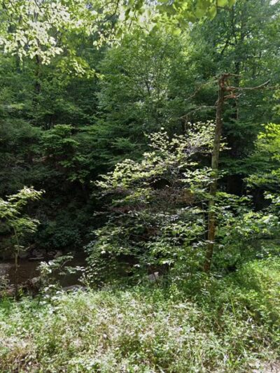 Old Parkersburg Turnpike - Swoope, VA