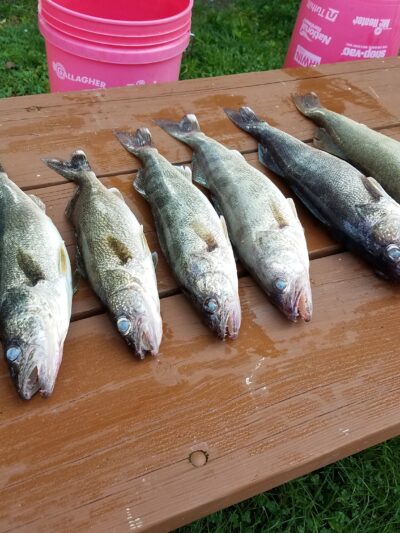 Lone Pine Campgrounds - Sylvan Beach, NY