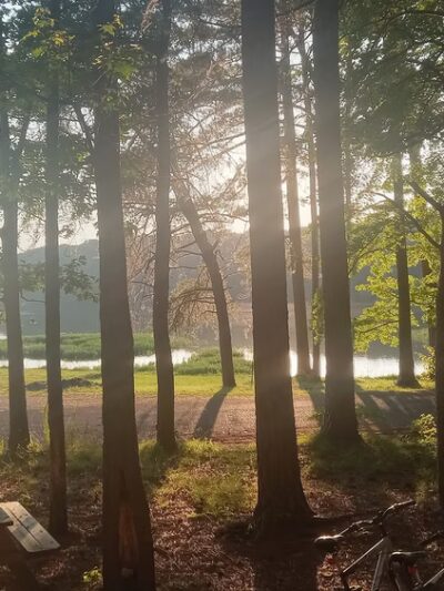 Sylvania Park (Michael Rd) - Sylvania, AL