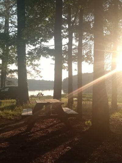 Sylvania Park (Michael Rd) - Sylvania, AL