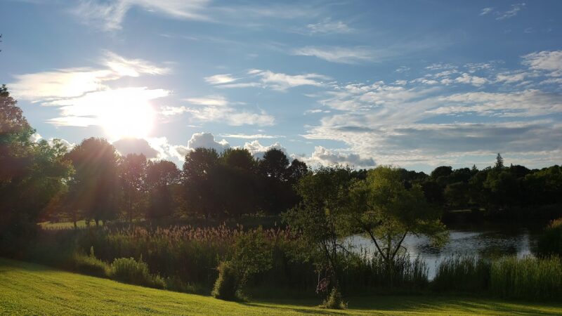 Barry Park - Syracuse, NY