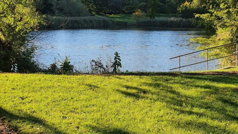Barry Park - Syracuse, NY