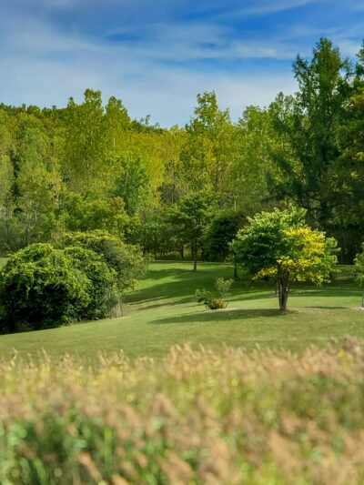 Barry Park - Syracuse, NY