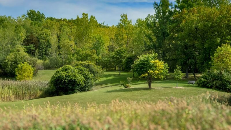 Barry Park - Syracuse, NY