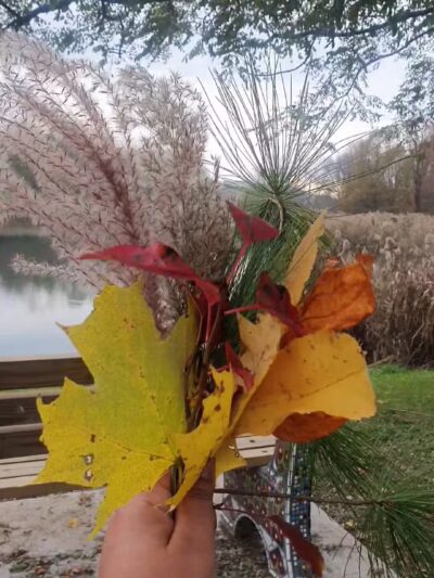 Barry Park - Syracuse, NY