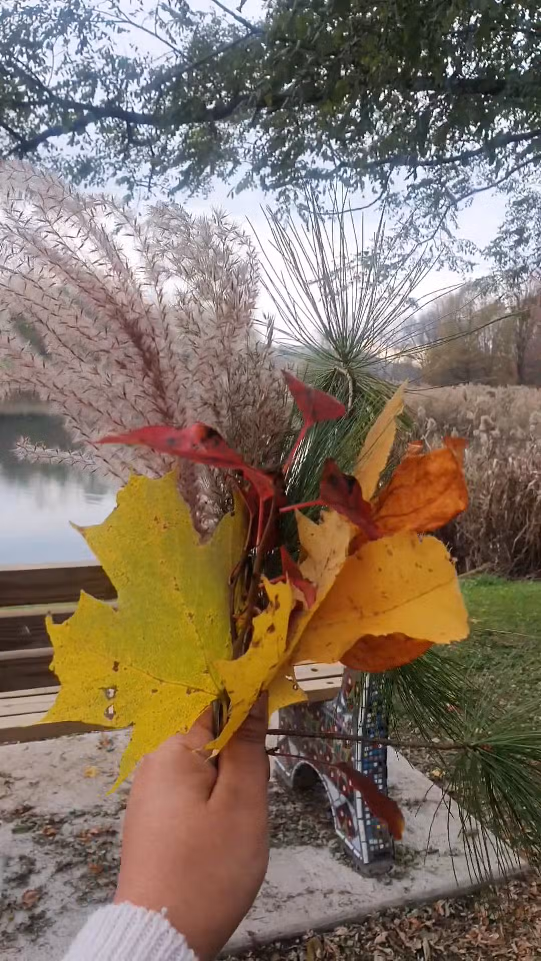 Barry Park - Syracuse, NY