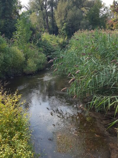Bear Trap Creek Bikeway - Syracuse, NY