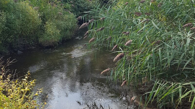 Bear Trap Creek Bikeway - Syracuse, NY