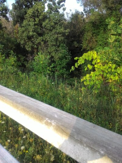 Bear Trap Creek Bikeway - Syracuse, NY
