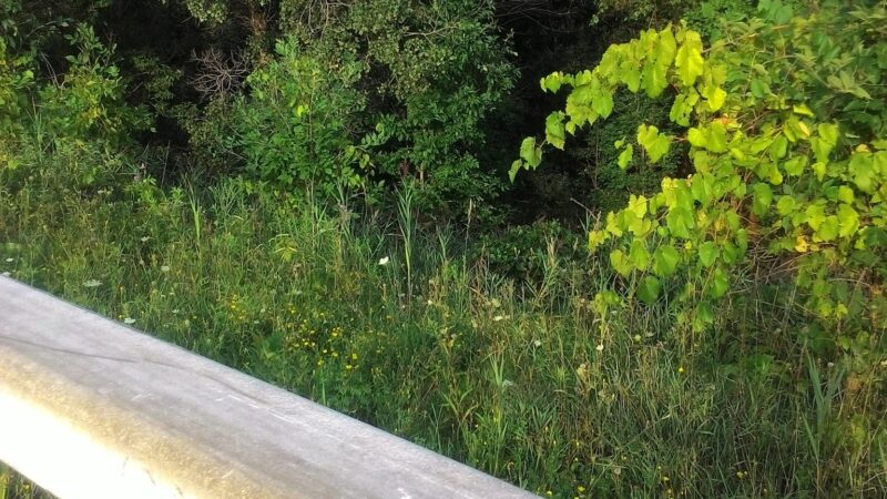 Bear Trap Creek Bikeway - Syracuse, NY