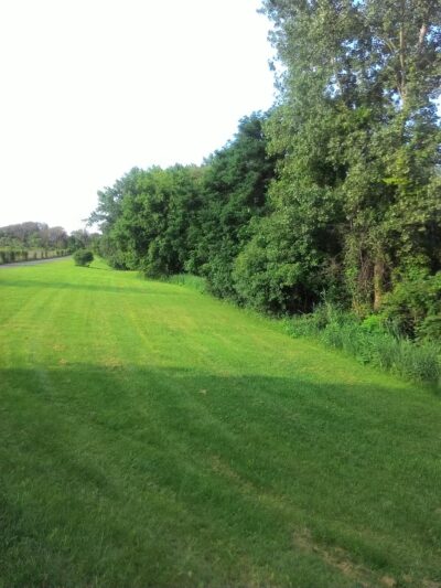 Bear Trap Creek Bikeway - Syracuse, NY