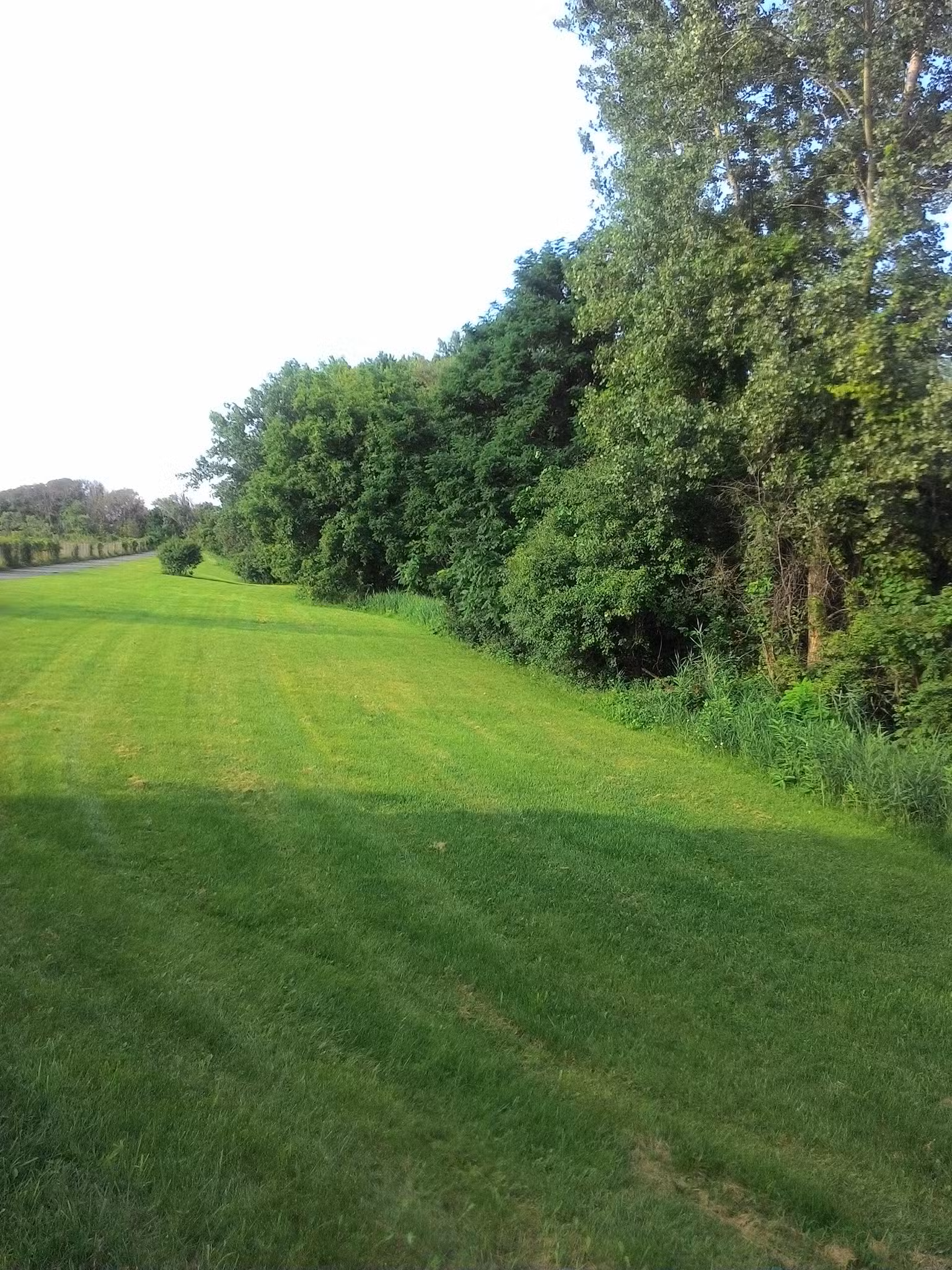 Bear Trap Creek Bikeway - Syracuse, NY