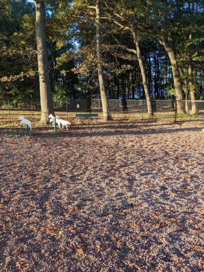 Dog Park at Heritage Park - Syracuse, NY