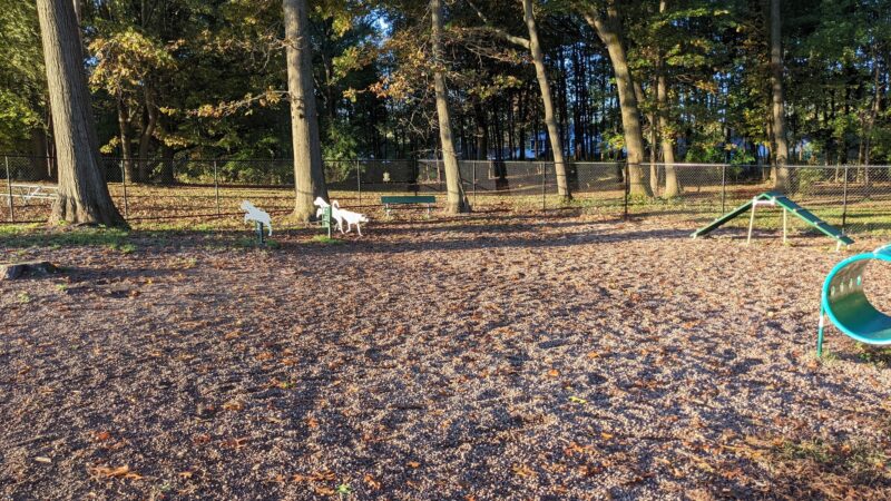 Dog Park at Heritage Park - Syracuse, NY