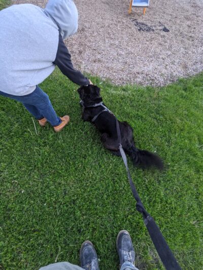 Lower Union Park - Syracuse, NY