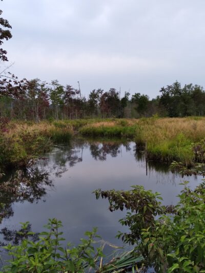 Pleasant Valley Preserve - Syracuse, NY