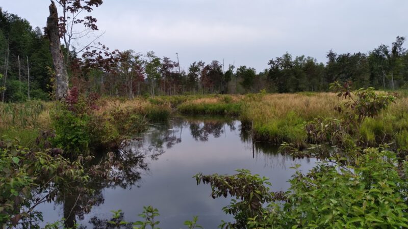 Pleasant Valley Preserve - Syracuse, NY