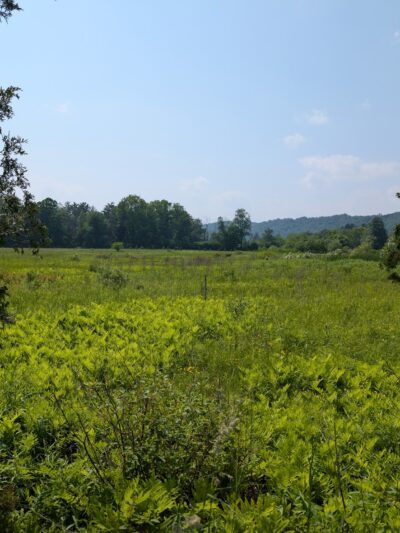 Pleasant Valley Preserve - Syracuse, NY