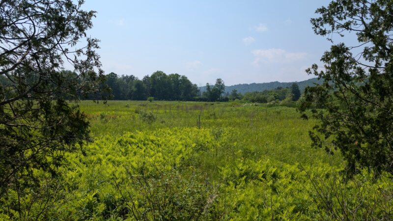 Pleasant Valley Preserve - Syracuse, NY