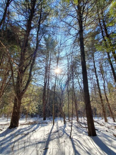 Pleasant Valley Preserve - Syracuse, NY