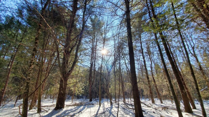 Pleasant Valley Preserve - Syracuse, NY