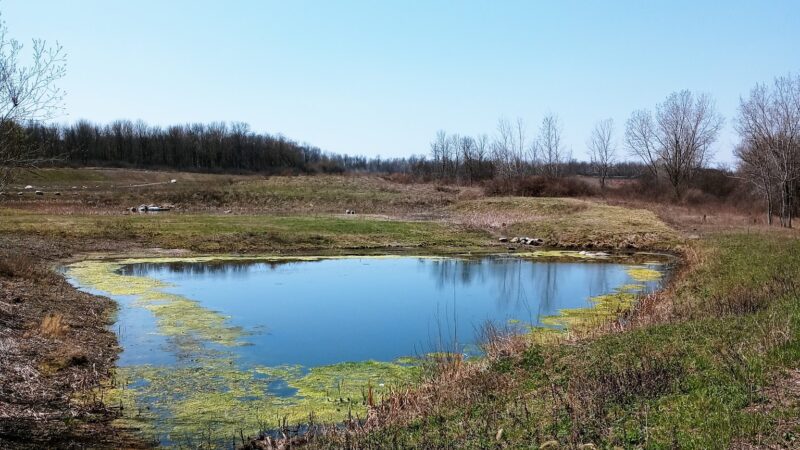Reed Webster Park - Syracuse, NY