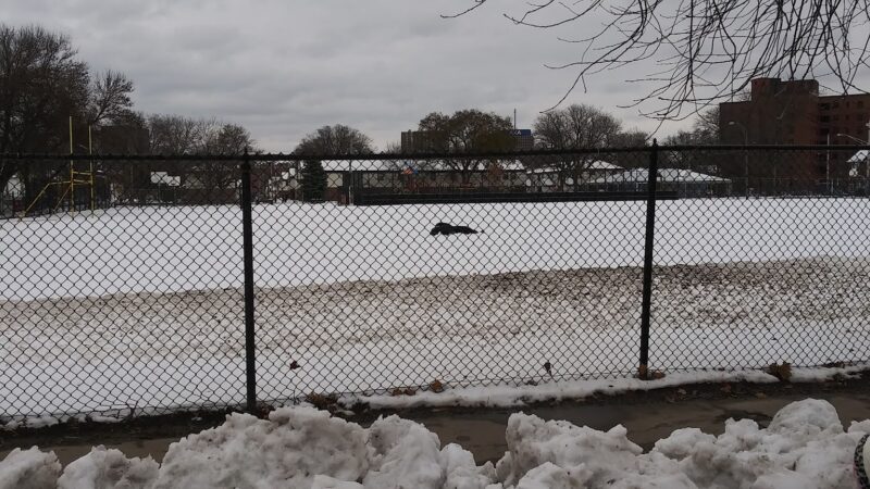 Skiddy Park - Syracuse, NY