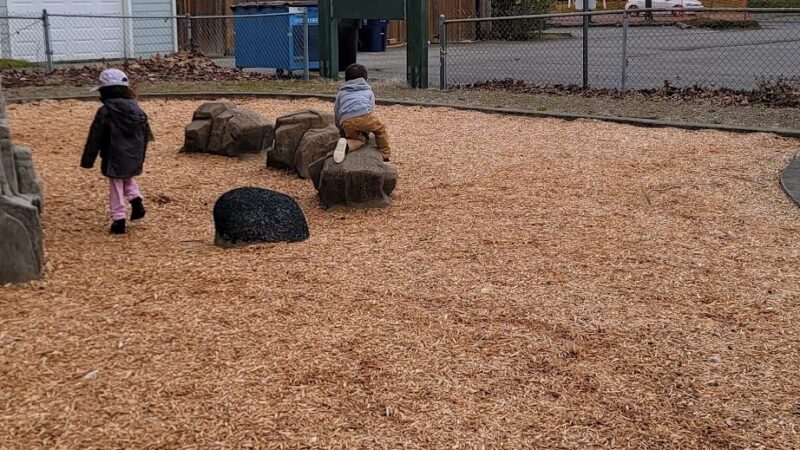 Baltimore Park - Tacoma, WA